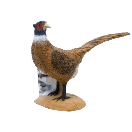 https://www.huntingtacticals.com/A0002/hattila/3d-srt-pheasant-target.jpg