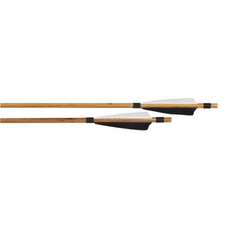 https://www.huntingtacticals.com/A0002/hattila/big-tradition-legend-basic-arrow.jpg