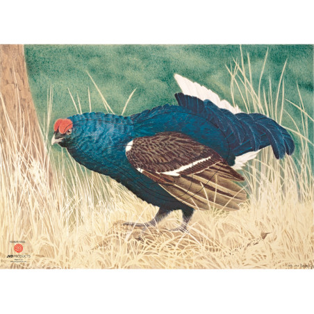 https://www.huntingtacticals.com/A0002/hattila/dark-grouse-target-face.jpg