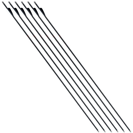 https://www.huntingtacticals.com/A0002/hattila/set-of-6-hattila-42-carbon-arrows-for-archery.jpg